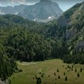Najstarija prašuma u Evropi deo je nacionalnog parka Sutjeska i izgleda magično