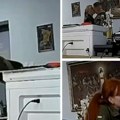 Украјински заповедник ухваћен на снимку како се љуби са две жене у канцеларији? Сумњичи се и за издају