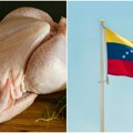 Kilogram piletine košta četiri puta više od prosečne mesečne plate. Haos u Venecueli - narod gladuje dok Tramp preti!