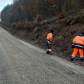 Uklanjanje rastinja i korova duž puteva u okolini Kragujevca (FOTO)