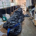 Policija upala u tajnu laboratoriju kod Smedereva! Zaplenjeno pola tone opojnih droga, otkriven najsavremeniji pogon (foto)