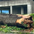 Tornado pogodio Sloveniju: Krovovi leteli, drveće padalo na automobile, hiljade ostalo bez struje
