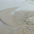RHMZ izdao upozorenje: Dunav, Sava i Tisa padaju ispod niskih plovidbenih nivoa