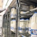 Veštačko kravlje mleko stiže i u Evropu