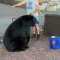 Medved ušetao na žurku željan zabave Svi komentarišu da nije normalno šta je uradio ovaj čovek