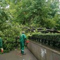 "Zelenilo Beograd" intervenisalo na 639 lokacija zbog nevremena: Objavljeno kako građani mogu da nadoknade štetu
