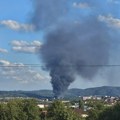 Lokalizovan požar u Košutnjaku, nema više opasnosti za okolinu