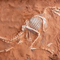 Milijarderi i dinosaurusi
