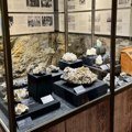 Evropska noć istraživača u Prirodnjačkom muzeju: Nauka kroz mikroskop, minerale i svetlost