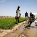 Najmanje 113 ubijenih u napadima u centralnoj Nigeriji