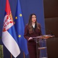 Mesarović: Nijedna laž neće uspeti da zaustavi Srbiju