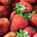Ako ovako perete jagode, očistićete ih od pesticida