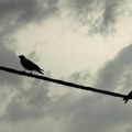 SAD i Iran nisu bliži okončanju rata, sukobi u Zalivu se ne stišavaju