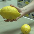 Neobično veliki limunovi na srpskom tržištu, tri voćke u kilogramu