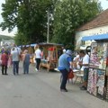 GTO Kragujevac organizuje besplatnu turu do „Šumadijskih dana šljive“