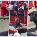 Horor u Meksiku! Razjarene grdosije ubile dva čoveka, bacale ljude u vazduh, stravični krici odjekivali dok je mladić krvario…