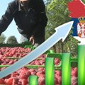 Шта Србија продаје свету? Роба вредна 33 милијарде евра отишла преко границе, ево и где смо најбољи