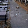 "Skinuli su mi sa bratovog spomenika cveće u staklu i razbili": Vandalizam na pravoslavnom groblju u Futogu