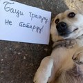 "Mame pse koricom hleba u koju su stavili petarde": Dečaci u Kragujevcu uhvaćeni u jezivom činu, sugrađanka van sebe (foto)