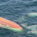 Napad pirata na brod: Ubijeno najmanje četvoro deset je nestalo