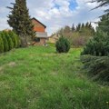 FOTO: Nekretnina koja privlači pažnju – dve kuće, velika parcela i odlična lokacija