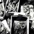Šta da radite kad pronađete 40.000 tela sahranjenih ispod kuće