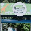 Beo zoo vrt slavi 90. rođendan! U nedelju slobodan ulaz za najmlađe, evo šta vas sve čeka