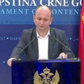 Crna Gora se još nije oslobodila od kriminalne, političke, pravosudne hobotnice