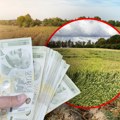 Počela isplata podsticaja po hektaru! Rok za prijavu produžen do 1. aprila