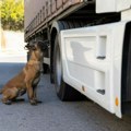 Evropska policija se krsti Nestale tone delova u Nemačkoj, našli ih u našem komšiluku