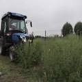 Visoke temperature smanjile koncentraciju polena u vazduhu
