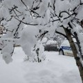 Sneg paralisao zapad Srbije i semberiju: 30 centimetara u Loznici i Šapcu, mehanizacija ne staje (foto)