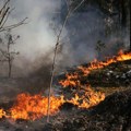 Požar zahvatio više od 1.100 hektara u zoni Černobilja: Kakva je radijaciona situacija
