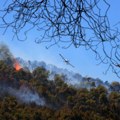 Veliki šumski požar na Eviji gase avioni i helikopteri