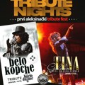Novi muzički festival Tribute Fest u Aleksincu