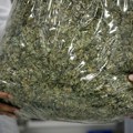 Potpisano: Marihuana može da se koristi u medicinske svrhe