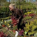 Bivša žena Jovana Memedovića u rasadniku O seoskoj kući nadomak Beograda sama brine, a sada podelila slike iz plastenika…