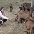Њој градски живот не треба: Јована је изабрала козарство, а ево шта козе раде када покуша да оде од њих