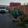 ЈКП Шумадија: Наставља се кошење амброзије на јавним зеленим површинама