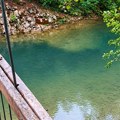 Nema zagađenja Velikog Rzava, kaže inspekcija: Ribočuvari sve snimili, voda je čista