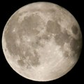 Nepredviđena situacija sa sondom Luna-25 pred sletanje na Mesec