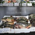 Srbi zbog cena manje jedu ribu: U ponudi obično šaran najjeftiniji, pastrmka se prodaje i za 900 dinara po kilogramu