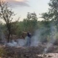 Meštani Zlate žive u strahu, Tužilaštvo kaže da se prikupljaju podaci