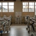 Iz bolnice u DR Kongu pobegla 25 pacijenta zaražena eobolom nakon što su napadnuti
