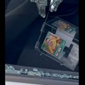 VIDEO: Obijeni automobili na Telepu, iz jednog ukraden novac za lečenje deteta