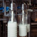 Srbija opet ne spušta nivo dozvoljenog aflatoksina u mleku – rok produžen za još godinu dana