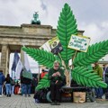 Legalizacija marihuane u Nemačkoj: Stariji od 18 godina mogu da poseduju do 25 grama!
