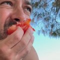 Хрватима смета и паштета! Извређали српског глумца на плажи "Види сељачине", а он им се још улизује!