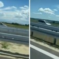Dokle više? Beli auto juri u kontrasmeru na auto-putu kod Niša: Snimak kruži društvenim mrežama