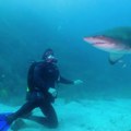 Ajkula mu odgrizla nogu dok je surfvovao, a ovaj potez mu je spasio život: "Pritiskao sam najjače što sam mogao"